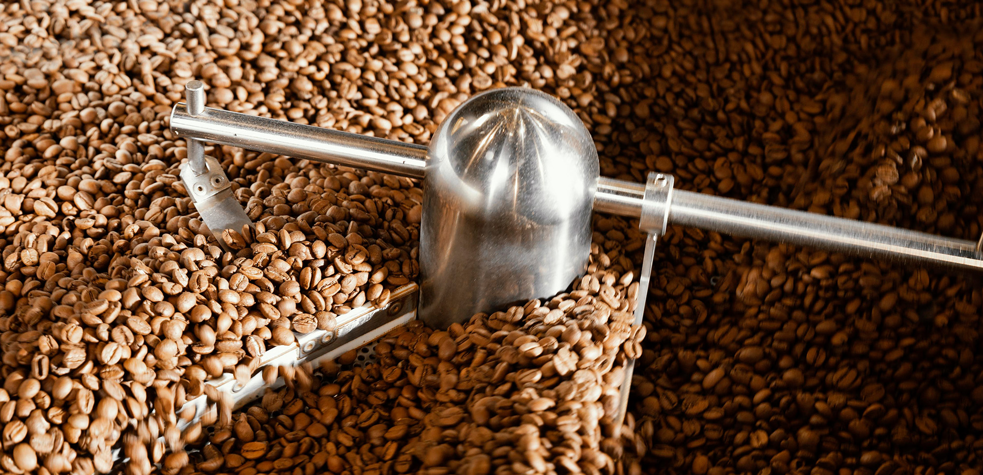 Food Syria 2026-Homepage image 1-2000x97 slider.jpg
